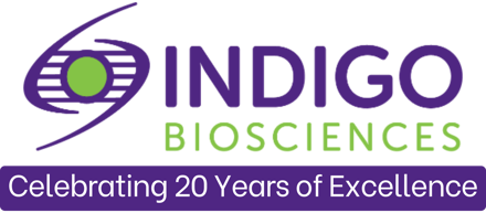 20th Ann Logo (2)