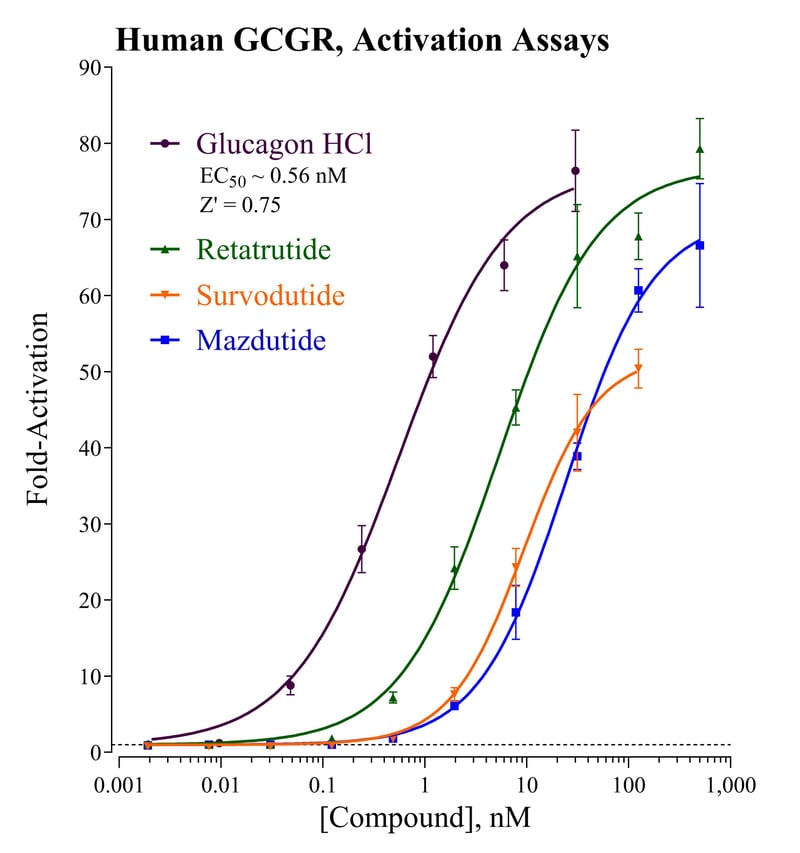 GCGR, Activation Assays