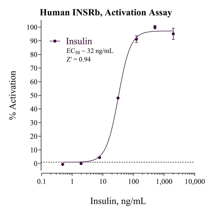 INSRb activation figure